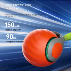 Smart Cat Ball with Faux Tail
