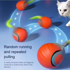 Smart Cat Ball with Faux Tail